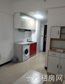 全新房全新装修全新家具家电公寓房出租 